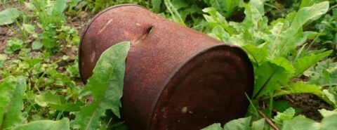 Reliable Garden Clean-Up in Binfield